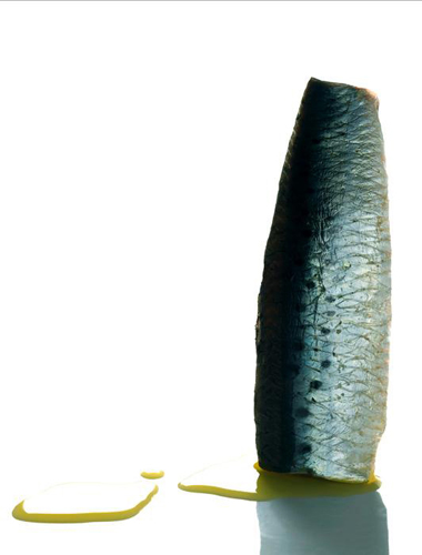 sardine